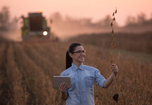 istock Agronomist with tablet and combine harvester 860575122