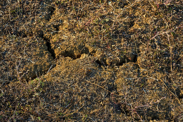istock crack in the ground 860575418