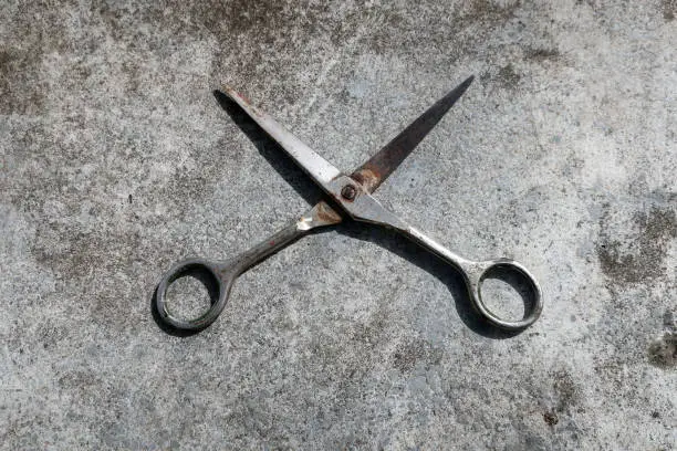 Photo of scissors