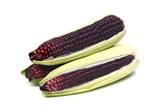 Blue corns isolated on white