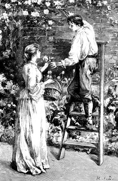 19. jahrhundert liebesgeschichte, abbildung zeigt einen gärtner auf einer leiter beschneiden rosen und vorbei an einem bis auf eine dame; viktorianische liebesgeschichten 1893 - ummauerter garten stock-grafiken, -clipart, -cartoons und -symbole