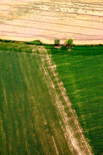 istock Agricultural field, aerial view 860582214