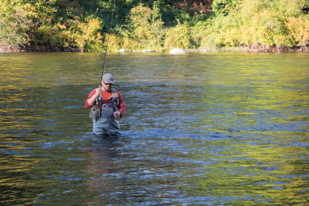 человек, покидающий реку после нахитой на розовый лосось. - catch of fish water river salmon стоковые фото и изображения