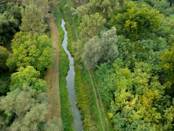 istock Aerial view of a small river 860586992