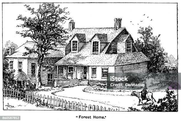 19 世紀第図は森の家ウィスコンシン州アメリカ家フランシス エリザベス キャロライン ウィラード ビクトリア朝禁酒の労働者1893 19