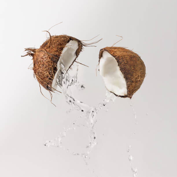 istock Cracked coconut with water splash. Summer tropical concept. 860588130