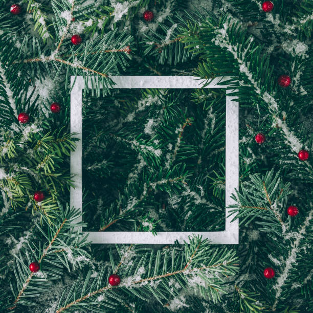 istock Creative layout made of Christmas tree branches with snow and paper card note. Flat lay. Nature New Year concept. 860590710
