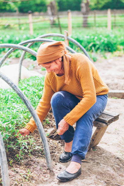 istock Mature woman working in the field 860593912