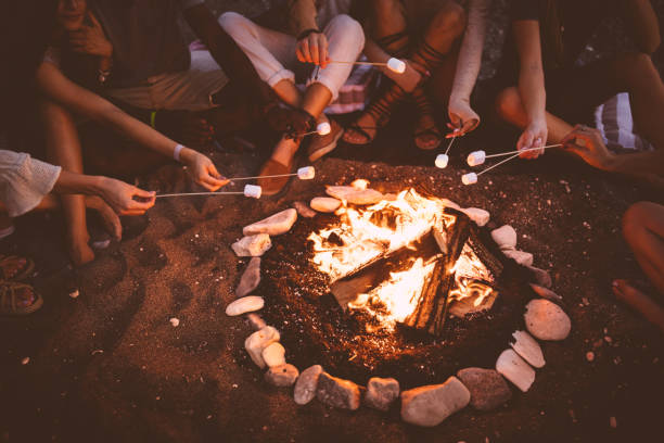 Young multi-ethnic friends roasting marshmallows over campfire at beach party stock photo