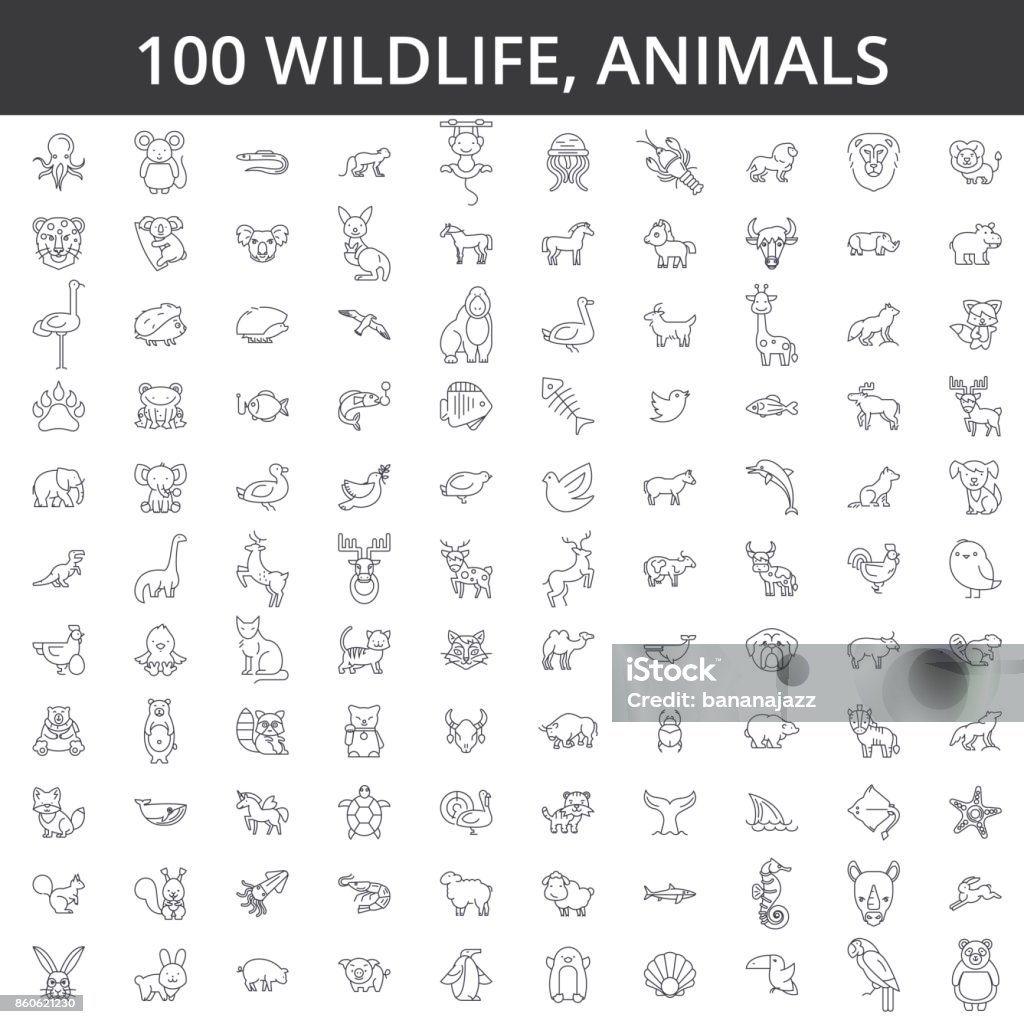 Wildlife african, sea, domestic, forest, zoo animals, cat, dog, wolf, fox, tiger, fish, bear, horse, dino, rhino, monkey line icons, signs. Illustration vector concept. Editable strokes Wildlife african, sea, domestic, forest, zoo animals, cat, dog, wolf, fox, tiger, fish bear horse dino rhino monkey line icons signs Illustration vector concept Editable strokes Animal stock vector