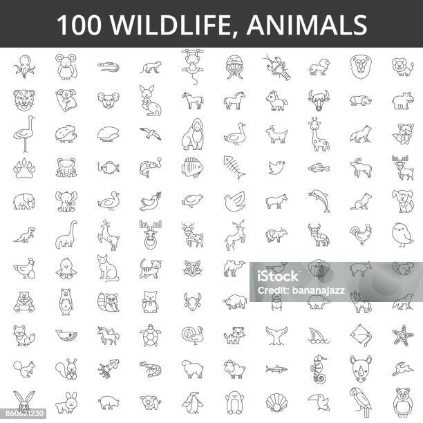 Wildlife African Sea Domestic Forest Zoo Animals Cat Dog Wolf Fox Tiger Fish Bear Horse Dino Rhino Monkey Line Icons Signs Illustration Vector Concept Editable Strokes Stock Illustration - Download Image Now