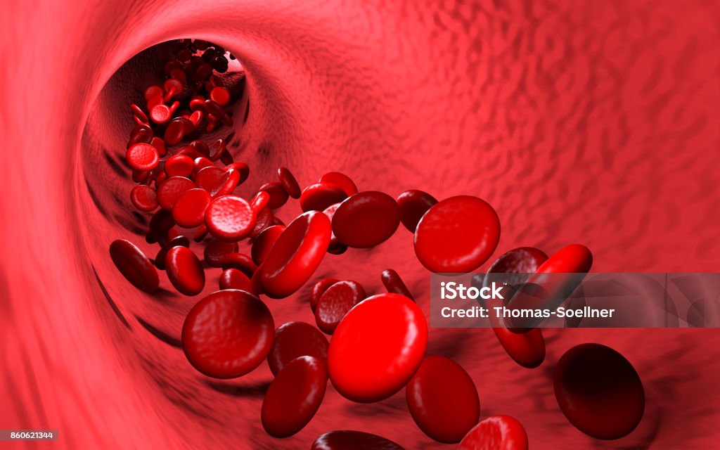 Erythrocyte Red cells in blood stream, 3D rendering Blood Flow Stock Photo