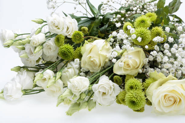 istock Close up of white roses 860628536