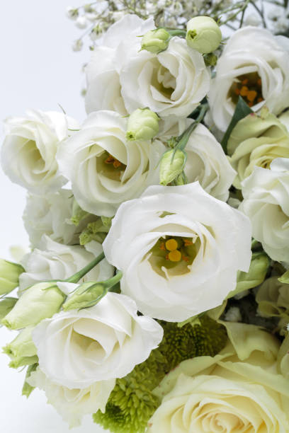istock Close up of white roses 860628548