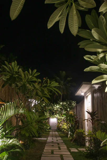 istock Beautiful tropical garden, night time 860632364