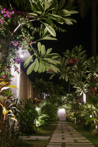 istock Beautiful tropical garden, night time 860634862