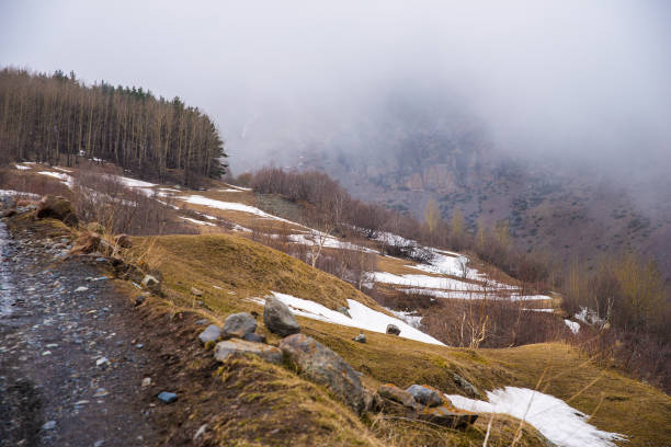 Road to the mountain