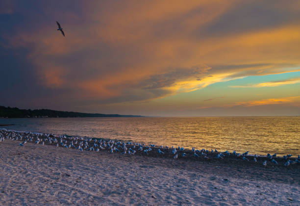 Late August is the perfect time of the year to capture dramatic sunsets on Lake Erie near Erie, Pennsylvania.