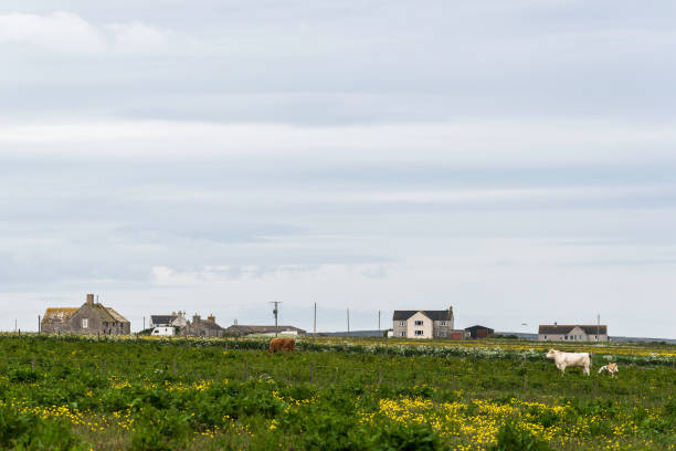 istock landscape of John o' groats area 860651390