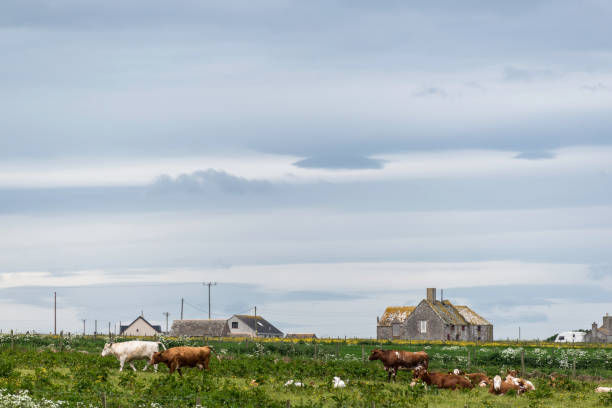 istock landscape of John o' groats area 860651474