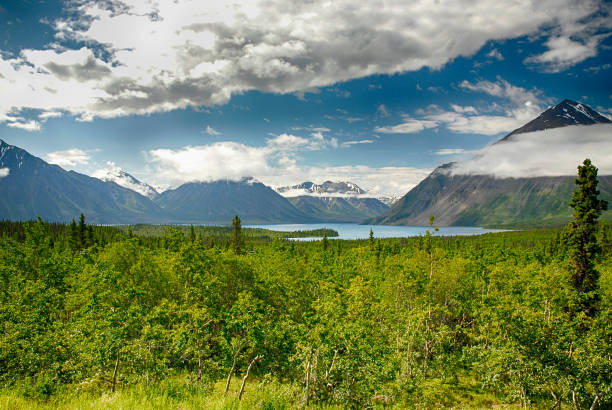 istock Lake and Mountains In Alaska 860654002