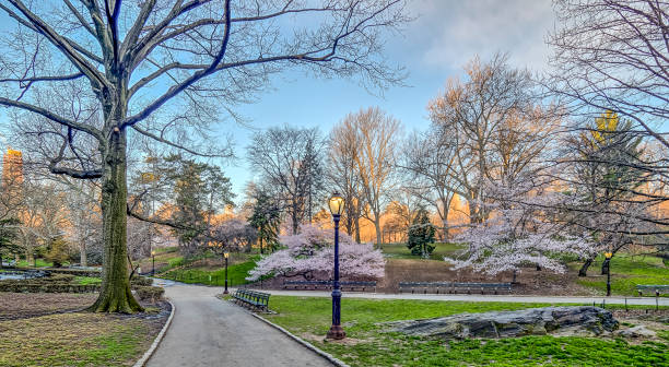 istock Central Park, New York City spring 860666970