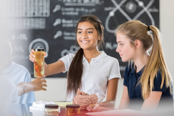 istock Cheerful middle school girl hands specimen to classmate 860675268