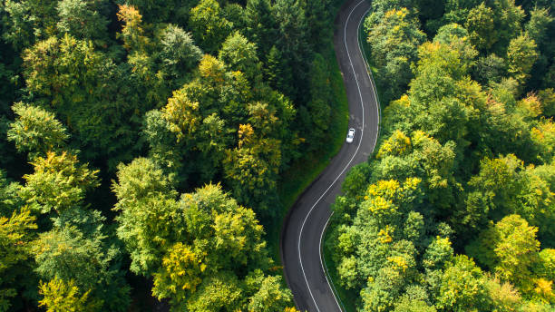 carretera con curvas a través del bosque - asphalt high angle view street traffic fotografías e imágenes de stock