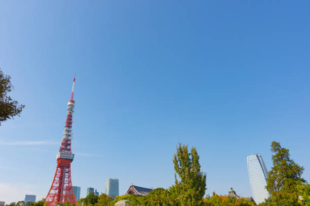 istock Cityscape with Tokyo tower 860681826