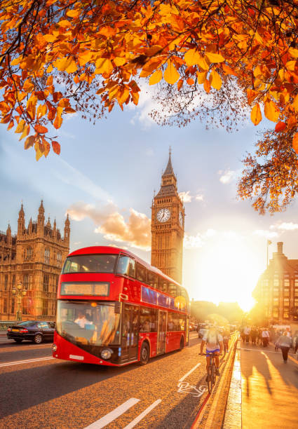 автобусы с осенними листьями против биг-бена в лондоне, англия, великобритания - london england uk travel big ben стоковые фото и изображения