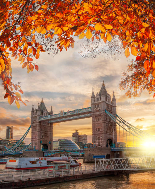 istock Tower Bridge with autumn leaves in London, England, UK 860682348