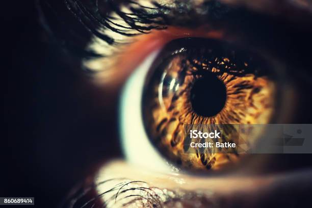 Human Eye Iris Close Up Stock Photo - Download Image Now - Eye, Close-up, Iris - Eye