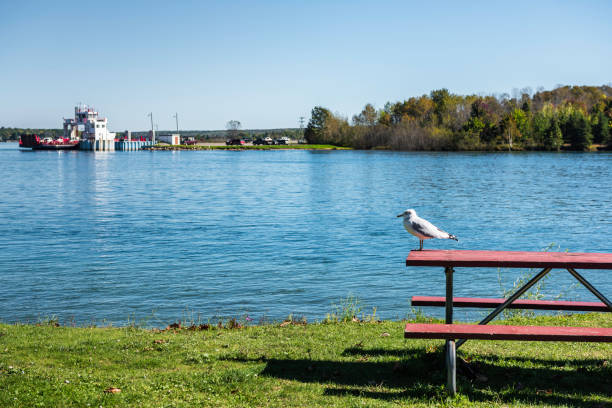 base de hidroavión de rotary park - natural landmark nature recreational pursuit ontario fotografías e imágenes de stock