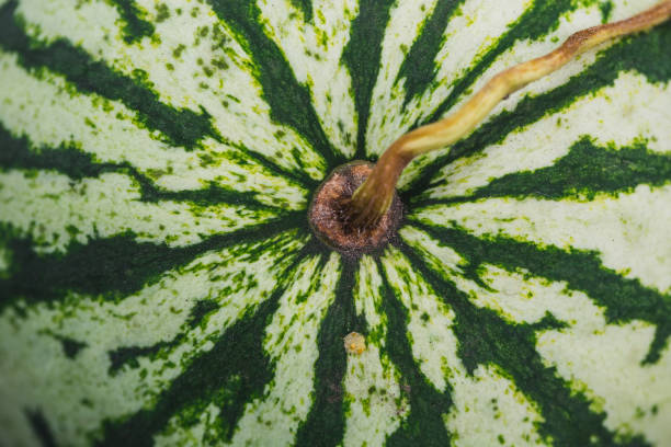 istock big sweet green watermelon 860697742