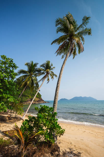 istock Beautiful tropical beach at island Koh Chang 860699928