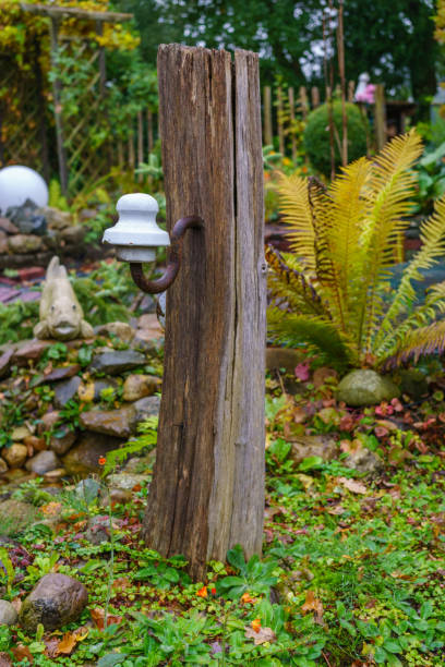 istock oak Pillar in the garden 860701442