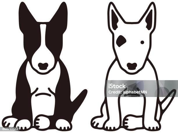 Bull Terrier Stock Illustration - Download Image Now - Bull Terrier, Dog, Front View