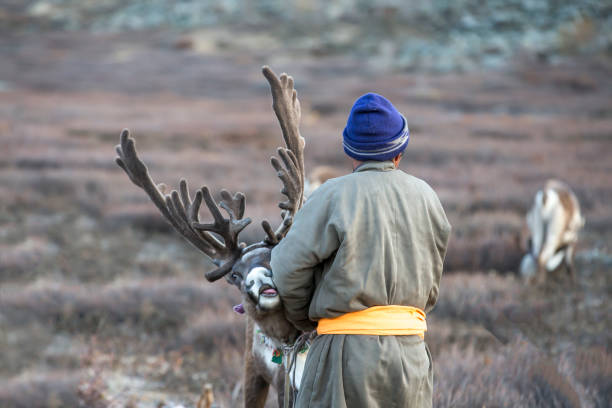 istock tsaatan man, dressed in a traditional deel, with his reindeers 860711126