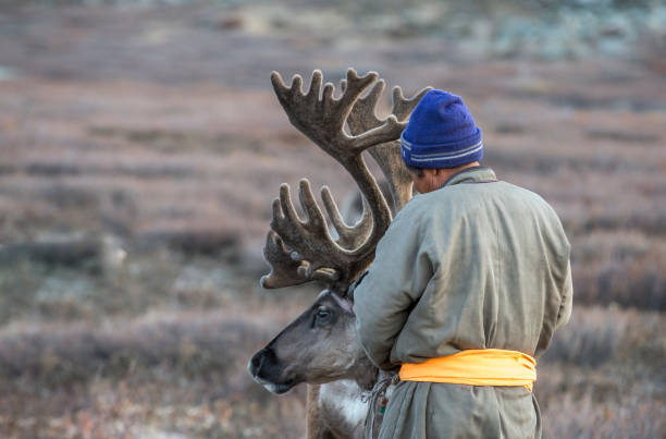 istock tsaatan man, dressed in a traditional deel, with his reindeers 860711128