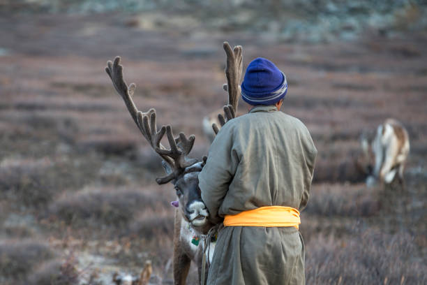 istock tsaatan man, dressed in a traditional deel, with his reindeers 860711134