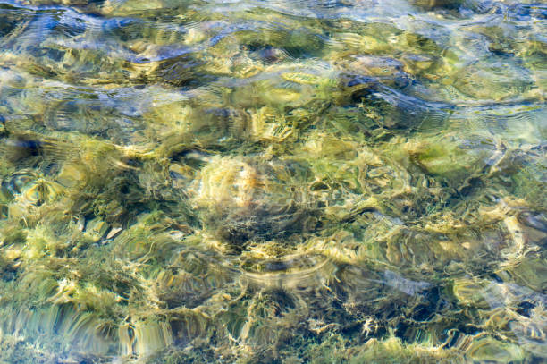 istock texture of water in tiled pool. background, nature. 860712574