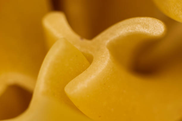 Spiral Pasta Macro Closeup