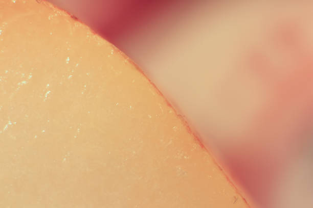 Red Pear Edge Section Surface Texture Background. Macro Closeup.