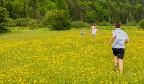 istock Four siblings walking in a yellow wild flower field 860721524