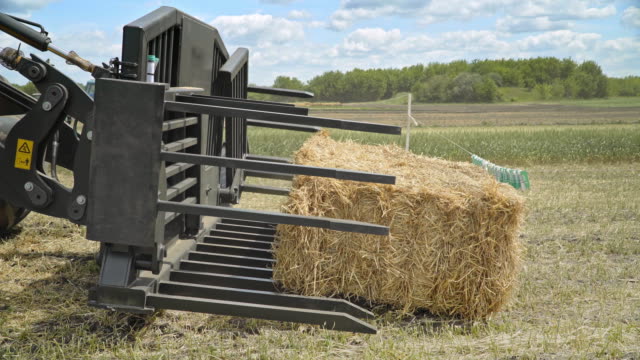 Agricultural excavator bucket. Harvesting hay. Farming machinery