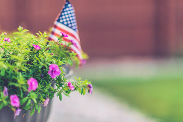 istock Defocused American flag with petunia flowers in back yard 860735506