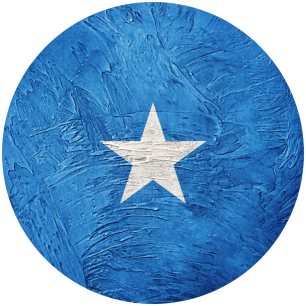 istock Grunge Somalia flag. Somalia button flag Isolated on white background 860739684