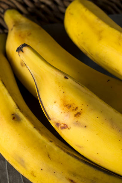 istock Raw Organic Yellow Plantain Bananas 860743390
