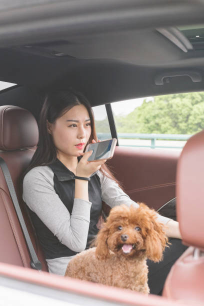 istock beautiful woman using smartphone in car with puppy teddy on side 860743448