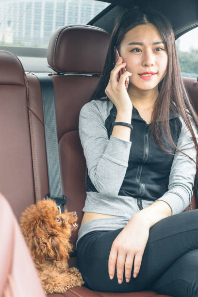 istock beautiful woman using smartphone in car with puppy teddy on side 860743508